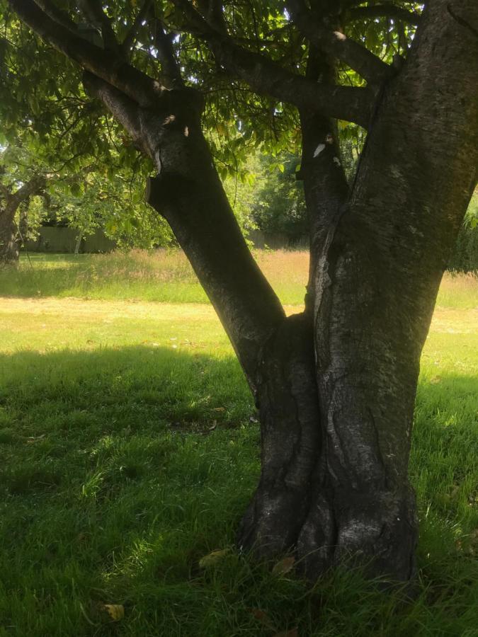 Redbrook Farm Bnb - Gateway To The New Forest Fordingbridge Buitenkant foto