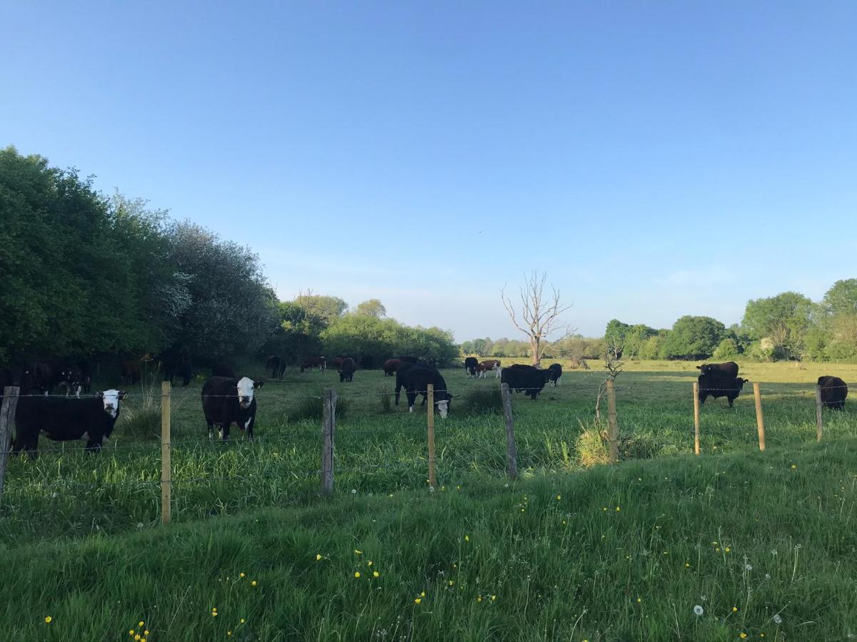 Redbrook Farm Bnb - Gateway To The New Forest Fordingbridge Buitenkant foto