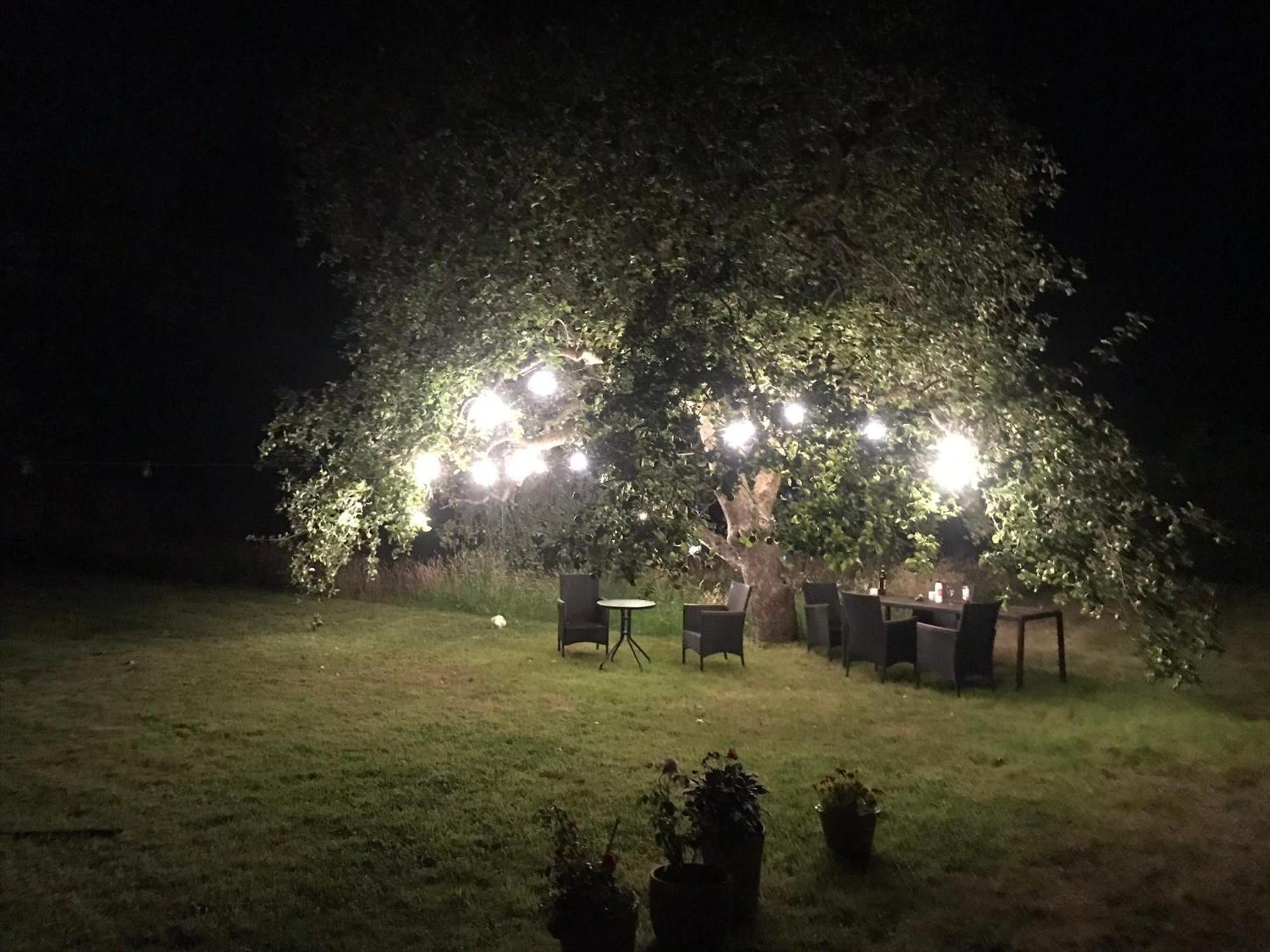 Redbrook Farm Bnb - Gateway To The New Forest Fordingbridge Buitenkant foto
