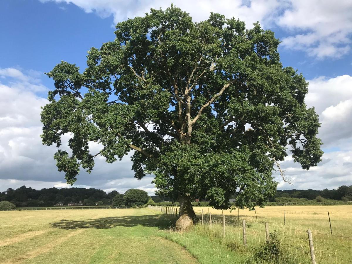Redbrook Farm Bnb - Gateway To The New Forest Fordingbridge Buitenkant foto