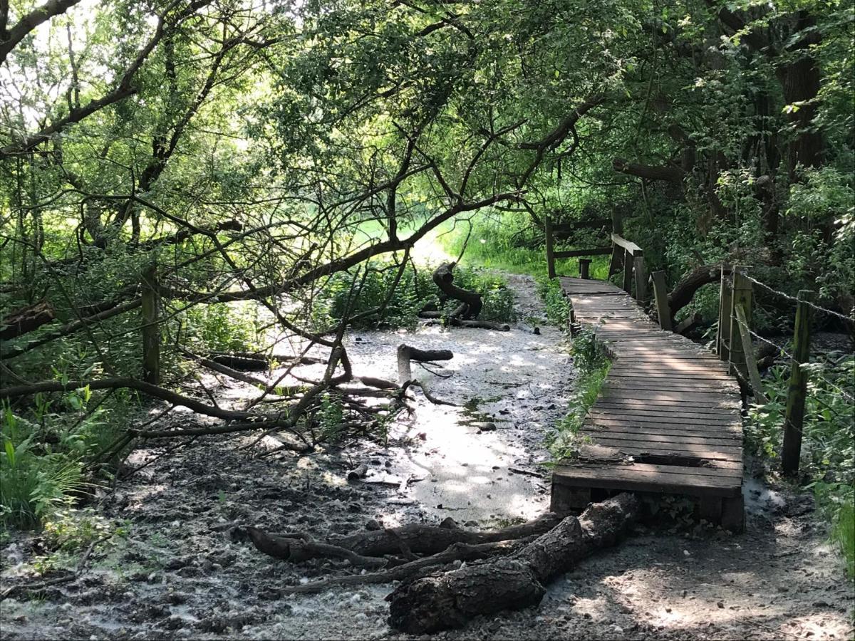 Redbrook Farm Bnb - Gateway To The New Forest Fordingbridge Buitenkant foto