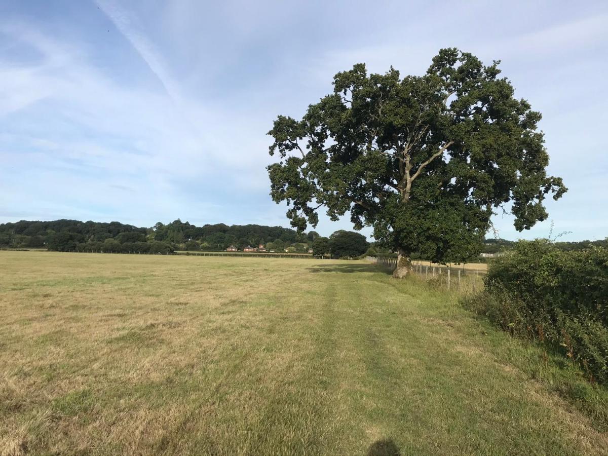 Redbrook Farm Bnb - Gateway To The New Forest Fordingbridge Buitenkant foto