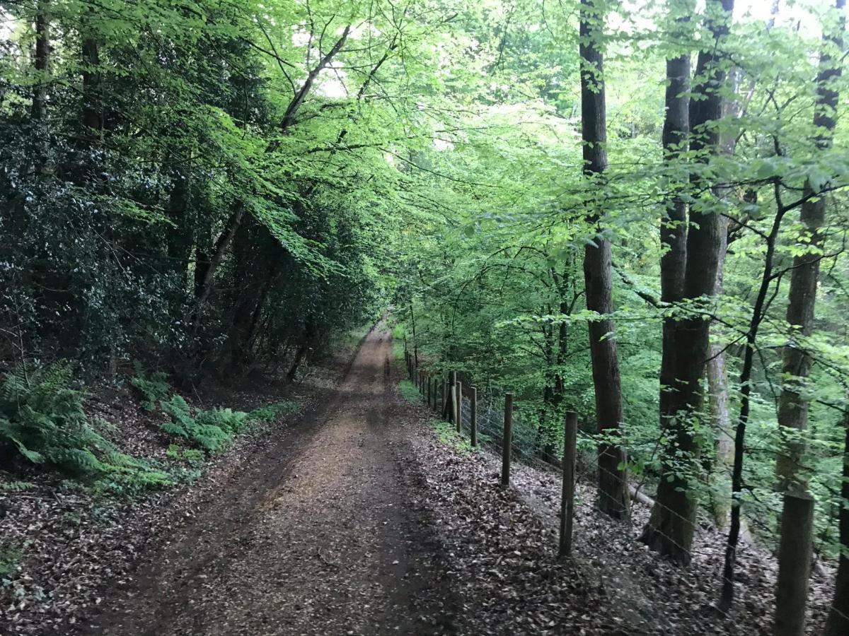Redbrook Farm Bnb - Gateway To The New Forest Fordingbridge Buitenkant foto