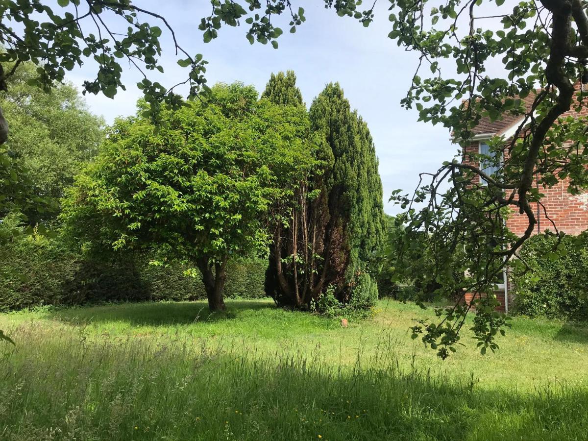 Redbrook Farm Bnb - Gateway To The New Forest Fordingbridge Buitenkant foto